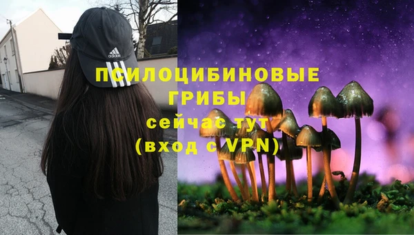 дурь Бородино